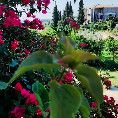 Artemis House Appartement *