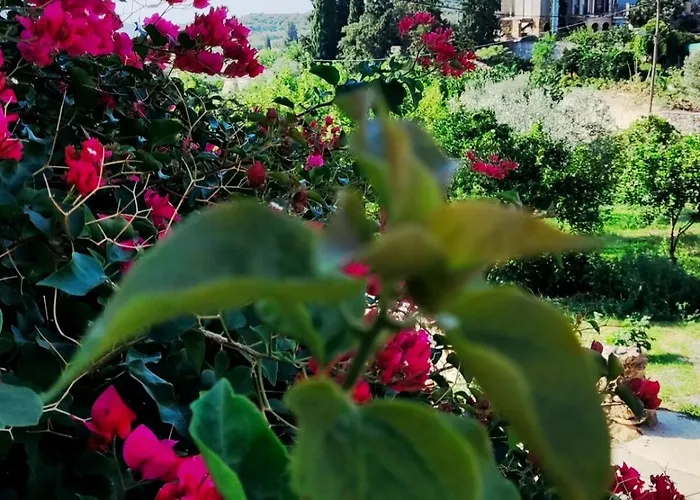 Artemis House Lägenhet *