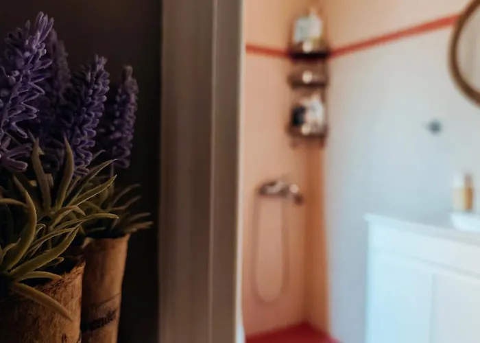 Апартаменты Artemis House *